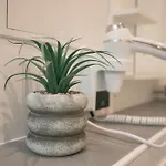 Blue Chili Prenzlauer Berg Διαμέρισμα